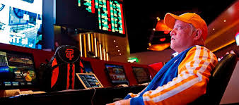 Онлайн казино Casino RioBet